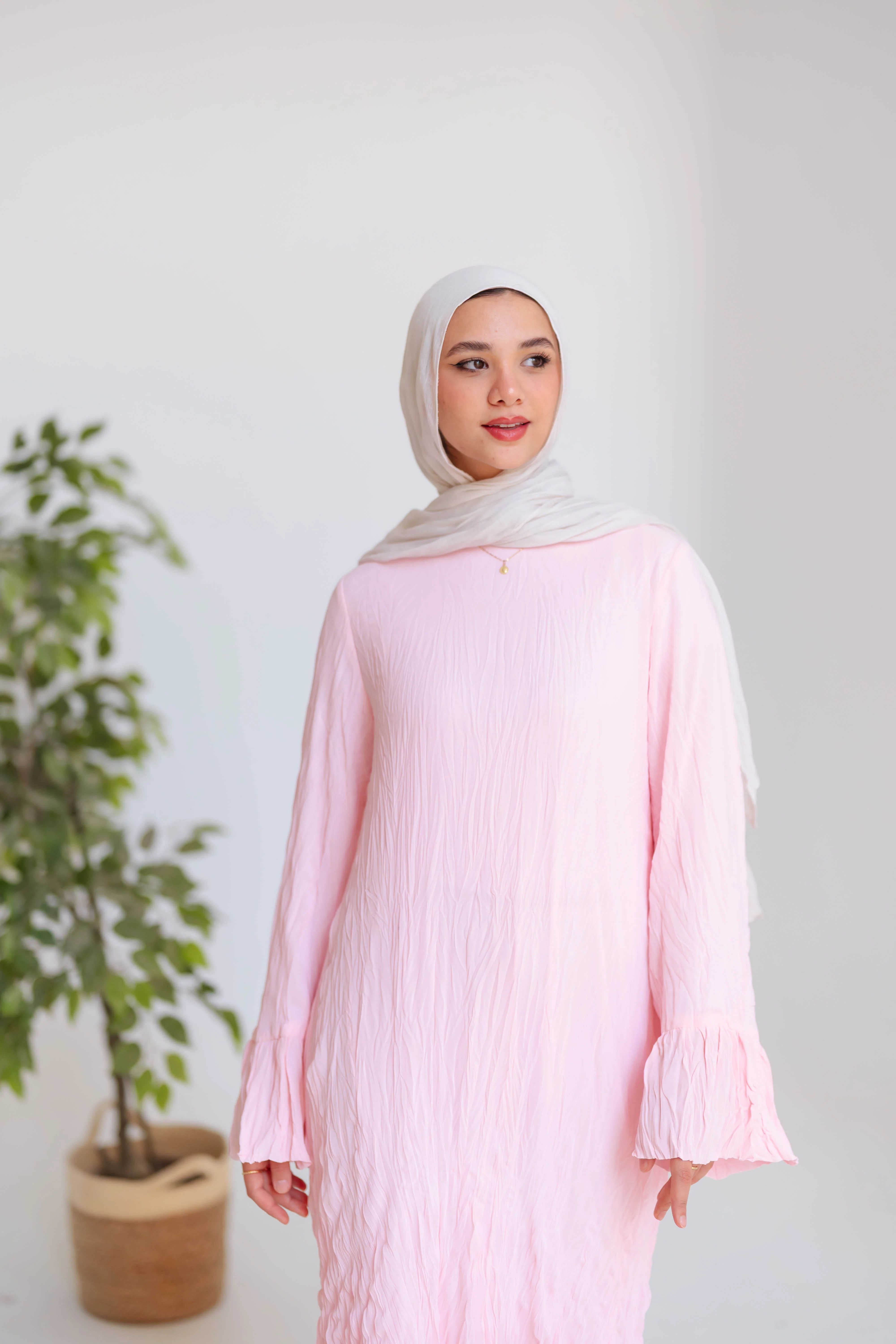 Crinckle Dress - Image 4